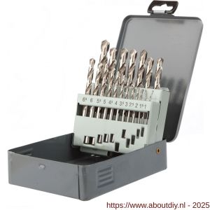 Diager HSS PRO staalborenset 19 stuks 1-10 mm in stapjes van 0.5 mm - A40877197 - afbeelding 3