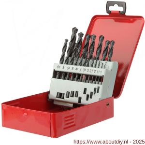 Diager HSS Standaard staalborenset 19 stuks - A40877191 - afbeelding 3