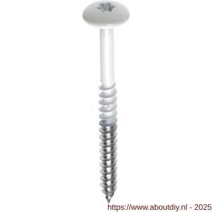 Fisinox kleurkopschroef 4,8x60 mm Torx TX 20 RVS A2 AISI 304 NCS S0530 goud - A40883005 - afbeelding 1