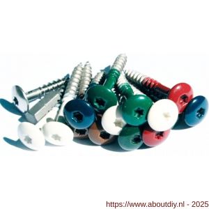 Fisinox kleurkopschroef 4,8x60 mm Torx TX 20 RVS A2 AISI 304 NCS S0530 goud - A40883005 - afbeelding 2