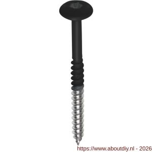 Fisinox kleurkopschroef 4,8x32 mm Torx TX 20 RVS A4 AISI 316 RAL 7021 zwartgrijs - A40883437 - afbeelding 1