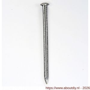 HJZ Profi nagel 1.6x25 mm bombe kop RVS A2 - A40870063 - afbeelding 1