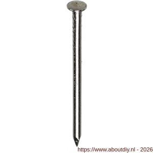 HJZ nagel 1.6x20 mm bombe kop RVS A2 1 kg - A40870314 - afbeelding 1