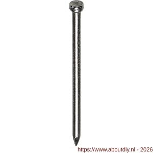 HJZ nagel 1.2x20 mm verloren kop RVS A2 1 kg - A40870153 - afbeelding 1