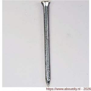 HJZ nagel 2.0x30 mm plat-conisch kop verzinkt - A40870252 - afbeelding 1