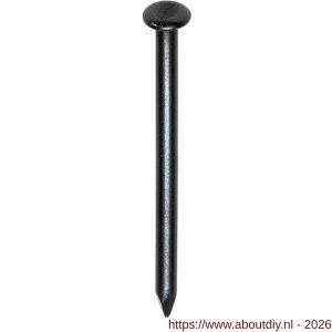 HJZ nagel 2.5x50 mm bolverzonken kop blauw - A40870079 - afbeelding 1