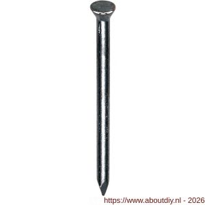 HJZ nagel 2.0x20 mm plat-conisch kop blauw 1 kg - A40870285 - afbeelding 1