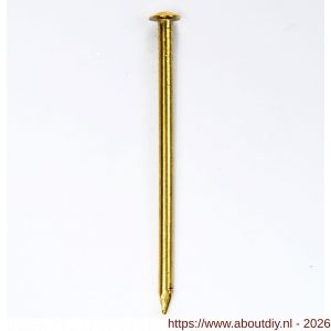 HJZ Profi nagel 1.5x20 mm bombe kop messing - A40870021 - afbeelding 1