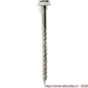 HJZ golfplaatnagel 4.0x45 mm platte kop A2 neopreen ring 11 mm - A40870018 - afbeelding 1
