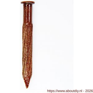 HJZ Z3 plintnagel 4.5 x40 mm platte kop geel verzinkt bruin - A40870188 - afbeelding 1