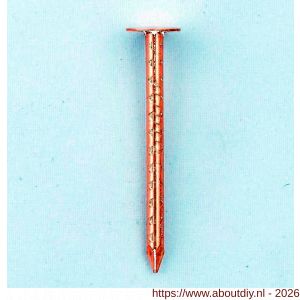 HJZ asfaltnagel gekartelde schacht 2.8x25 mm plattekop roodkoper 1 kg - A40870006 - afbeelding 1