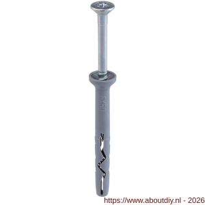 Klimas SM slagplug polyethyleen 5x30 mm platte kop PK Pozidriv PZ 2 verzinkt - A40897127 - afbeelding 2