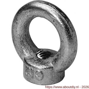 Steelies Ultimate oogmoer DIN 582 M12 verzinkt - A40864344 - afbeelding 1