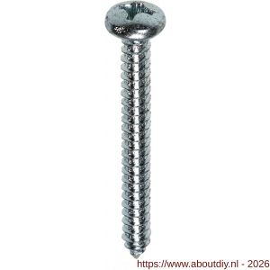 Steelies Ultimate plaatschroef DIN 7981C-H 4,8x38 mm Phillips PH 2 verzinkt - A40861312 - afbeelding 1