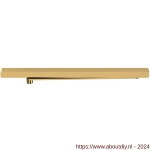 Dormakaba G-N XEA glijarm goud P750 - A10180196 - afbeelding 2