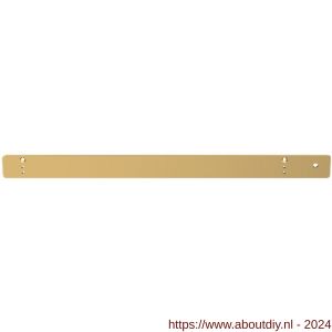 Dormakaba G-EMF XEA montageplaat 140 graden goud (P750) - A10180272 - afbeelding 2
