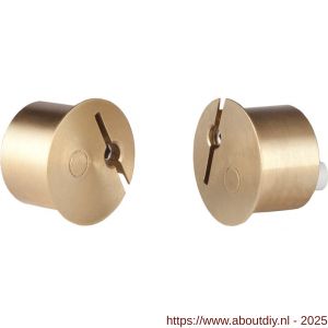 Maasland DMC121 deurstandsignalering wissel messing 21 - A11301175 - afbeelding 1