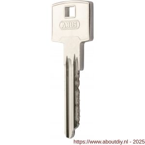 Maasland GT-AS extra mechanische sleutel S6+ bij bestelling - A11301165 - afbeelding 1
