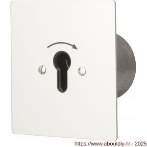 Maasland UPR1-1T sleutelschakelaar inbouw rond puls 1 - A11301066 - afbeelding 1