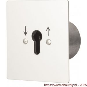 Maasland UPR1-2T sleutelschakelaar inbouw rond puls 2 - A11301068 - afbeelding 1