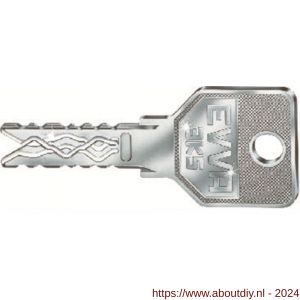 Evva nieuw zilver sleutel geleverd bij 1e aankoop van een nieuw systeem - A22102731 - afbeelding 1