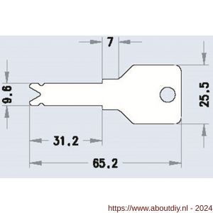 Evva nieuw zilver sleutel geleverd als nalevering zonder cilinder - A22102716 - afbeelding 2
