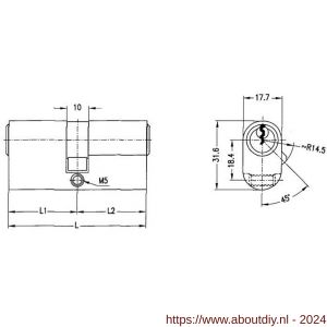 Evva ovaalcilinder dubbel EPS 31/31=62 mm stiftsleutel conventioneel plan messing vernikkeld - A22100527 - afbeelding 2
