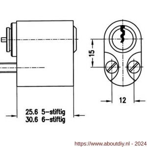 Evva buitenzijde Zweedse cilinder NL 35x20 mm stiftsleutel conventioneel plan messing vernikkeld - A22100558 - afbeelding 2