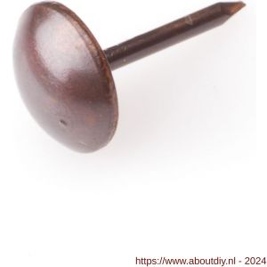 Homefix meubelnagel brons kop 4.6 mm 1.0x12 mm blister 30 stuks - A51402308 - afbeelding 1