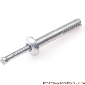 Rawl metalen nagel plug zamak 6x30 mm 100 stuks - A51402442 - afbeelding 1