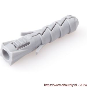 Homefix nylon plug 5x25 mm blister 20 stuks - A51402475 - afbeelding 1