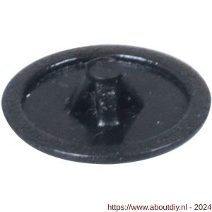 Rotadrill afdekkapje zwart platkop PK Pozidriv PZ 2 mm blister 40 stuks - A51400015 - afbeelding 1