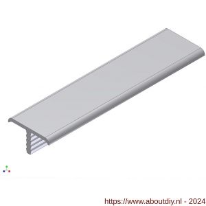 AluArt tafelrand 21 mm geanodiseerd L 5000 mm aluminium geanodiseerd - A20201040 - afbeelding 1
