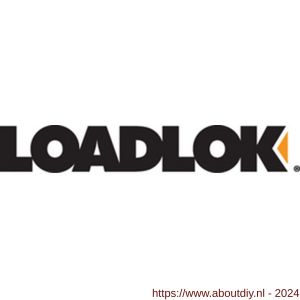Berdal Loadlok spanband Professioneel met ratel en haken 35 mm 7 m 1000/2000 daN oranje - A50200890 - afbeelding 1