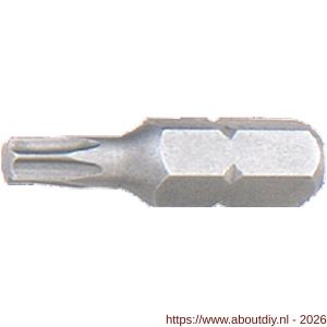Labor ITXA1025 schroefbit 1/4 inch C 6.3 Torx 10x25 mm set 10 stuks - A50302952 - afbeelding 1