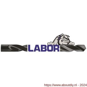 Labor LL011100 tandkransboorkop met sleutel schroefdraadopname 1-2 inch x 20 UNF spangrootte 1-13 mm koker - A50304468 - afbeelding 1