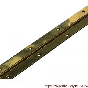 Dulimex DX PI 321250PB K pianoscharnier 0,7x32x1260 mm staal vermessingd met DX kopkaart - A30201913 - afbeelding 1