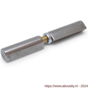 IBFM Dulimex DX HPL WR 4 150 aanlaspaumelle messing pen en kogellager ring 150x20 mm platte kop blank staal - A30203670 - afbeelding 1