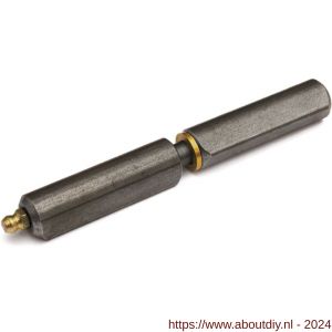 IBFM Dulimex DX HPL WR SM 120 aanlaspaumelle smeernippel stalen pen en messing ring 120x16 mm blank staal - A30201820 - afbeelding 1