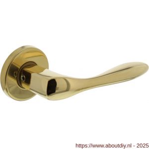 Intersteel Living 0201 deurkruk Banaan met rozet verdekt diameter 49x7 mm messing ongelakt - A26007891 - afbeelding 1