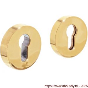 Intersteel Living 3750 SKG3 veiligheidsrozetten rond verdekt diameter 55x12 mm profielcilindergat messing ongelakt - A26003562 - afbeelding 1