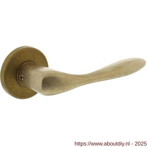 Intersteel Living 0201 deurkruk Banaan met rozet verdekt diameter 49x7 mm messing getrommeld - A26007900 - afbeelding 1