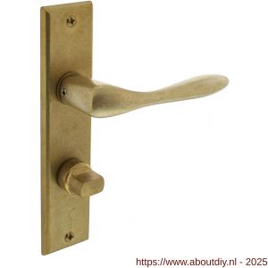 Intersteel Living 0201 deurkruk Banaan met schild rechthoekig 181x41 mm WC 63/8 mm messing getrommeld - A26007903 - afbeelding 1