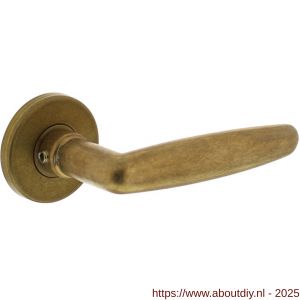 Intersteel Living 0225 deurkruk Sophie met rozet verdekt diameter 49x7 mm messing getrommeld - A26007905 - afbeelding 1