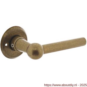 Intersteel 0446 deurkruk L/L bol met rozet diameter 50x5 mm messing getrommeld - A26010139 - afbeelding 1