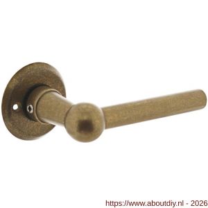 Intersteel 0446 deurkruk gatdeel L-model bol met rozet diameter 50x5 mm messing getrommeld - A26010140 - afbeelding 1