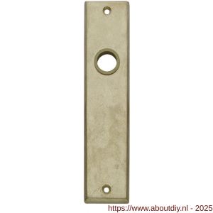 Intersteel 2568 renovatie kortschild rechthoekig 181x41x7 mm blind messing getrommeld - A26002813 - afbeelding 1
