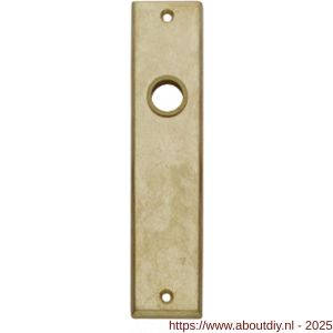 Intersteel 2568 renovatie kortschild rechthoekig 181x41x7 mm sleutelgat 72 mm messing getrommeld - A26002815 - afbeelding 1