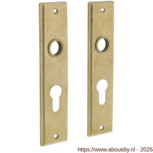 Intersteel 2568 renovatie kortschild rechthoekig 181x41x7 mm profielcilindergat 55 mm messing getrommeld - A26002816 - afbeelding 1