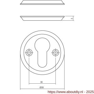 Intersteel Living 3173 cilinderrozetten diameter 50x5 mm messing getrommeld - A26011102 - afbeelding 2